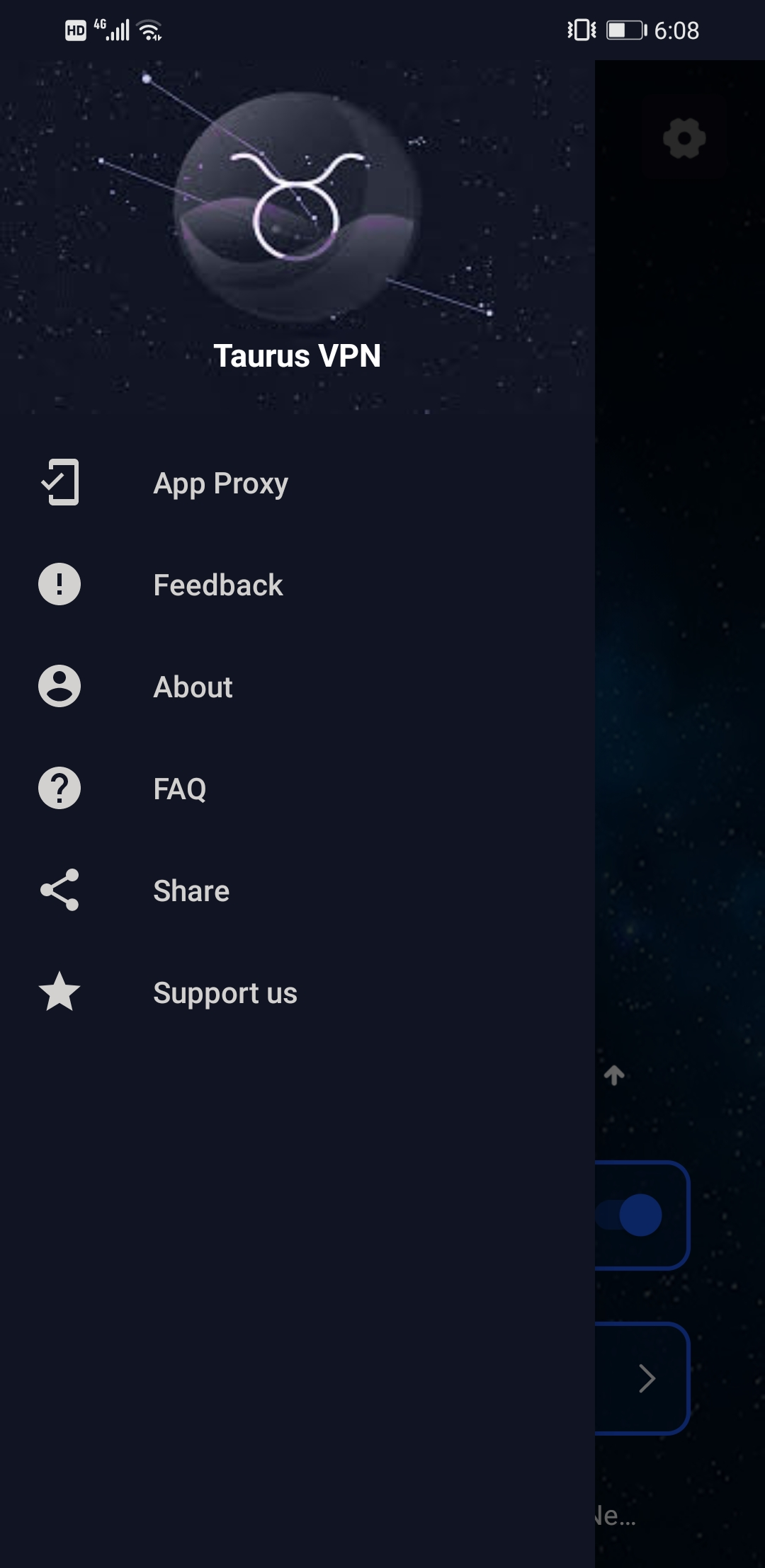 Taurus VPN app screenshot β settings
